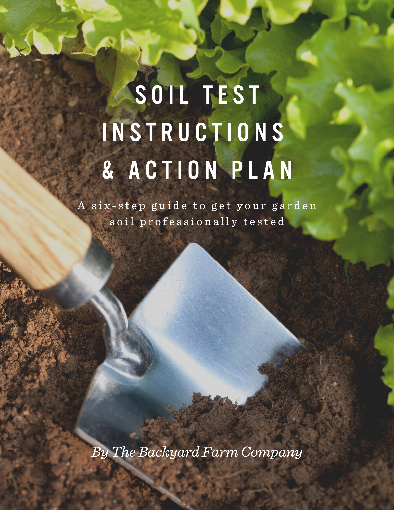 Soil Testing - The Backyard Farm Company